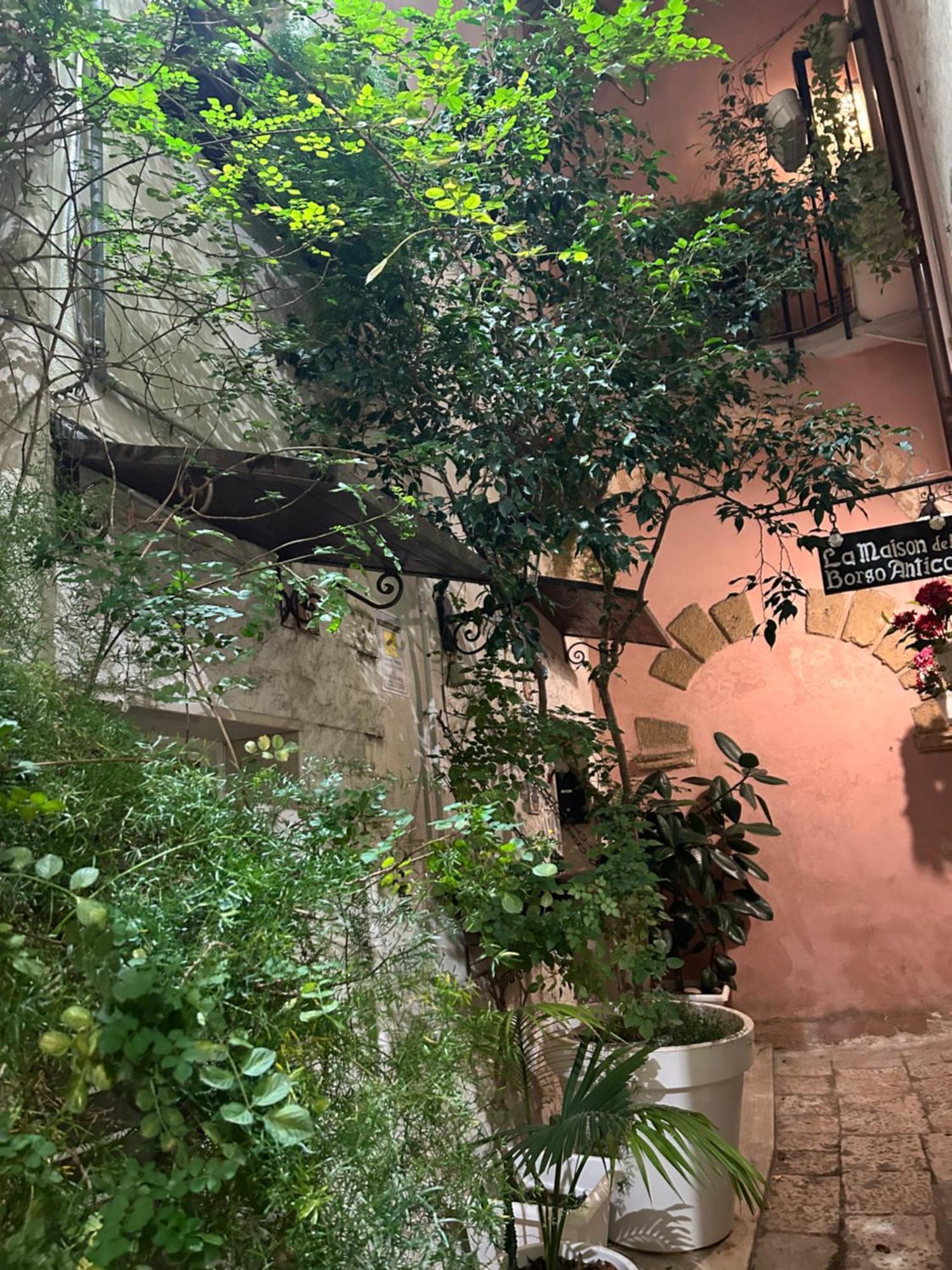 B&B Bari Vecchia R Exterior photo